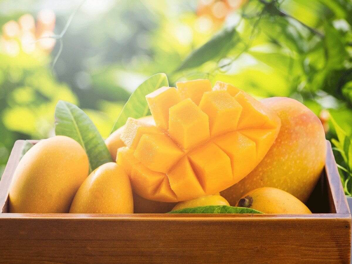 7 Loại trái cây vừa ngon vừa giải nhiệt mùa hè